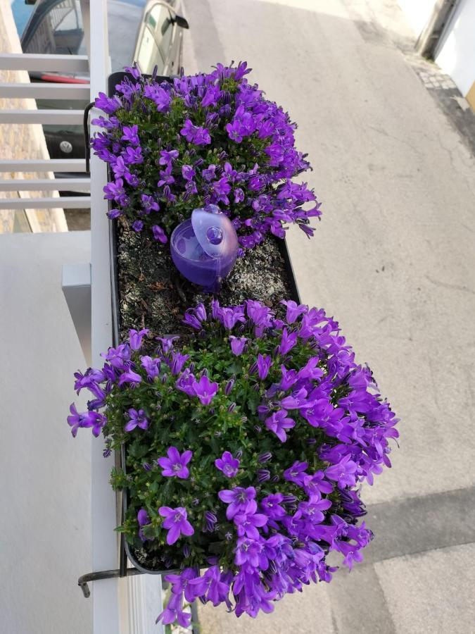 The Violet House Villa Costa Nova Dış mekan fotoğraf