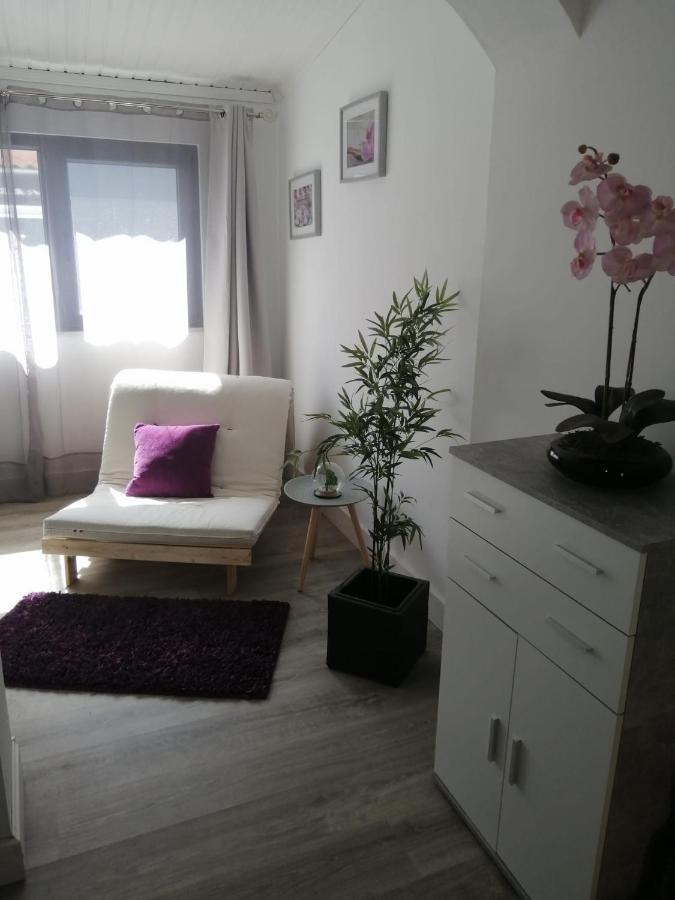 The Violet House Villa Costa Nova Dış mekan fotoğraf